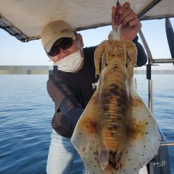 ソルトウォーターガイドフレンズ 釣果