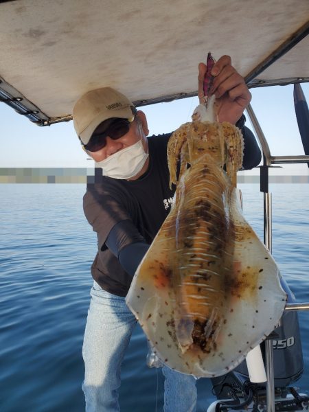 ソルトウォーターガイドフレンズ 釣果