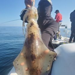 ソルトウォーターガイドフレンズ 釣果