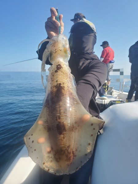 ソルトウォーターガイドフレンズ 釣果