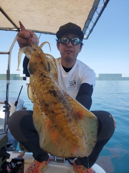 ソルトウォーターガイドフレンズ 釣果