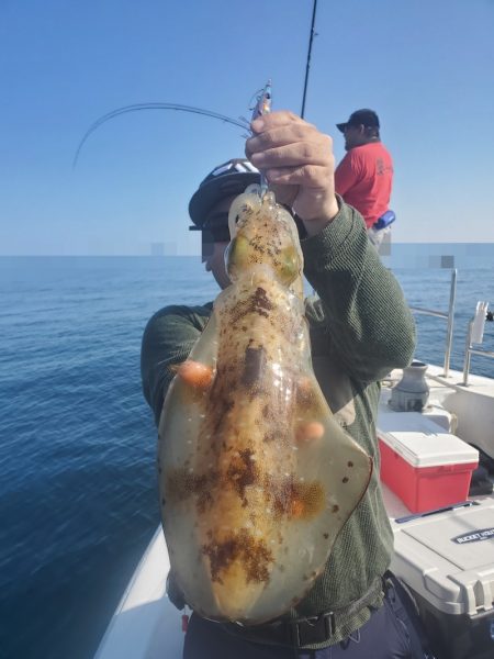ソルトウォーターガイドフレンズ 釣果