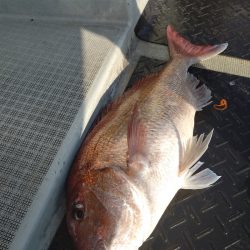 神海丸 釣果