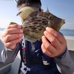 ブルースフィッシングサービス 釣果