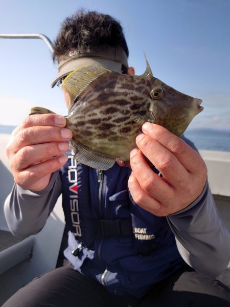 ブルースフィッシングサービス 釣果