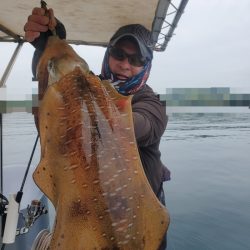 ソルトウォーターガイドフレンズ 釣果