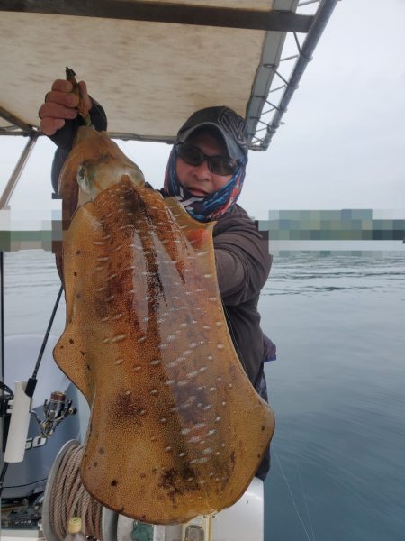 ソルトウォーターガイドフレンズ 釣果