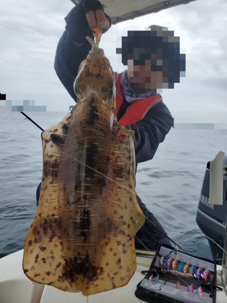 ソルトウォーターガイドフレンズ 釣果