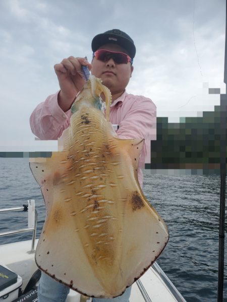 ソルトウォーターガイドフレンズ 釣果