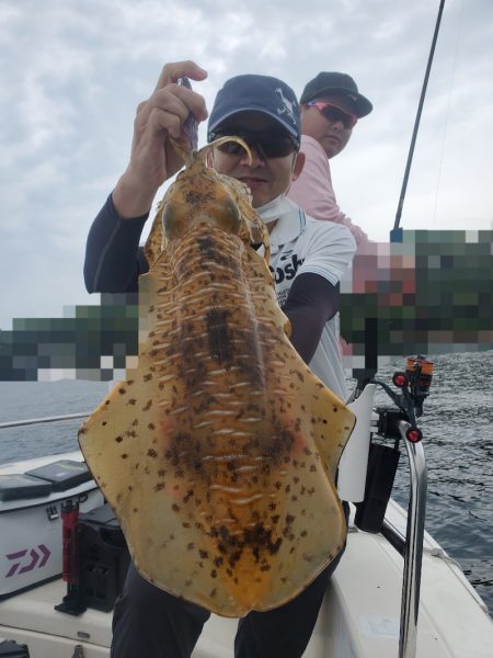 ソルトウォーターガイドフレンズ 釣果