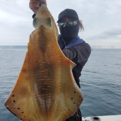 ソルトウォーターガイドフレンズ 釣果