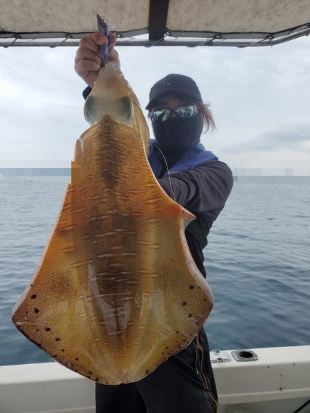 ソルトウォーターガイドフレンズ 釣果