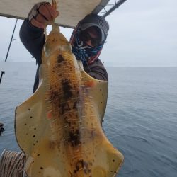 ソルトウォーターガイドフレンズ 釣果