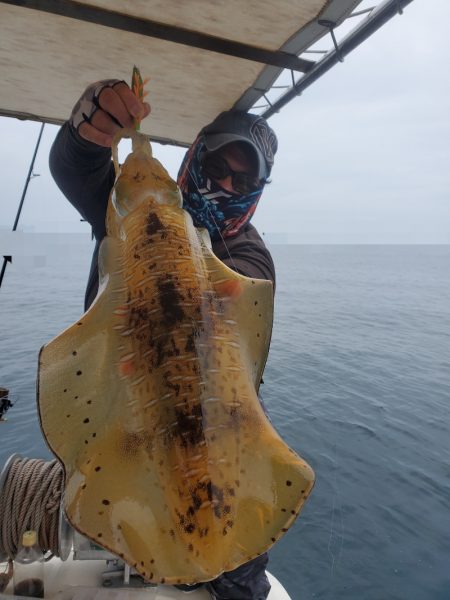 ソルトウォーターガイドフレンズ 釣果