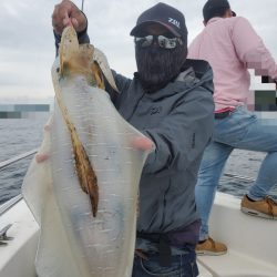 ソルトウォーターガイドフレンズ 釣果