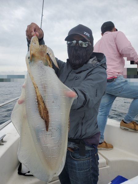 ソルトウォーターガイドフレンズ 釣果