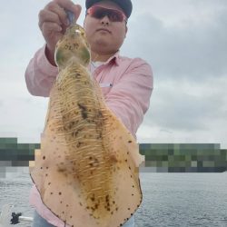 ソルトウォーターガイドフレンズ 釣果