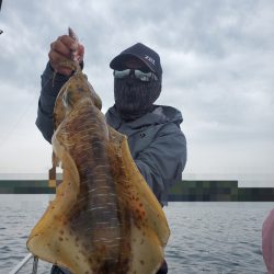 ソルトウォーターガイドフレンズ 釣果