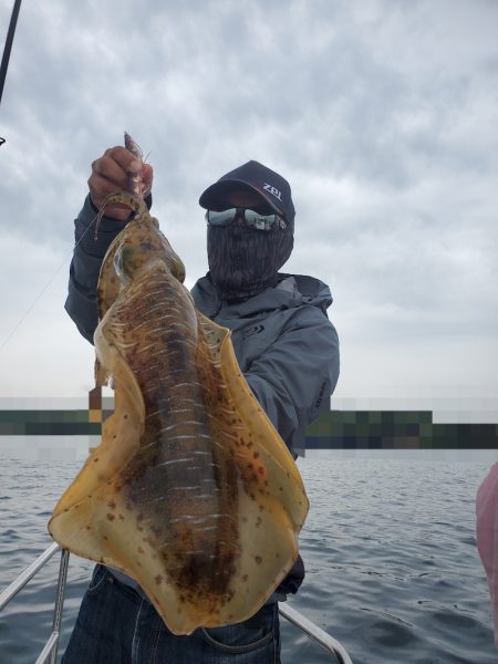 ソルトウォーターガイドフレンズ 釣果