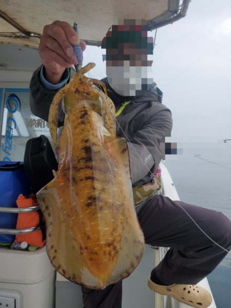 ソルトウォーターガイドフレンズ 釣果