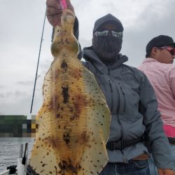 ソルトウォーターガイドフレンズ 釣果