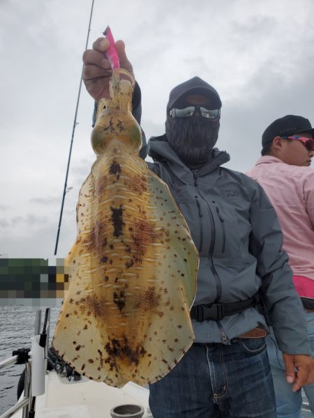 ソルトウォーターガイドフレンズ 釣果