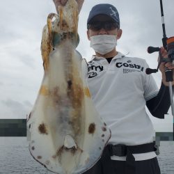 ソルトウォーターガイドフレンズ 釣果