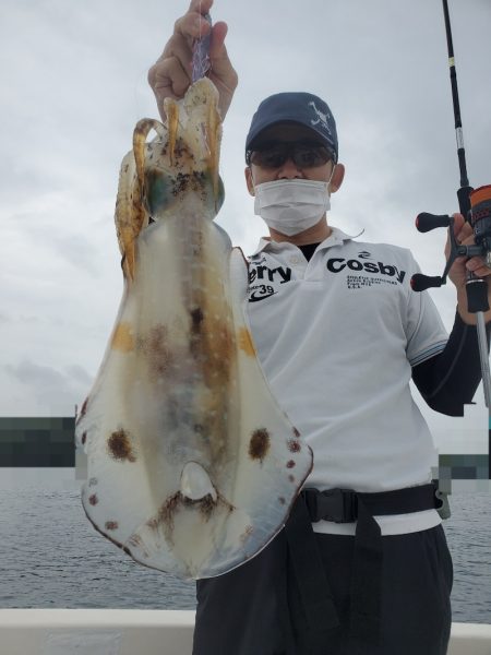 ソルトウォーターガイドフレンズ 釣果