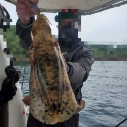 ソルトウォーターガイドフレンズ 釣果