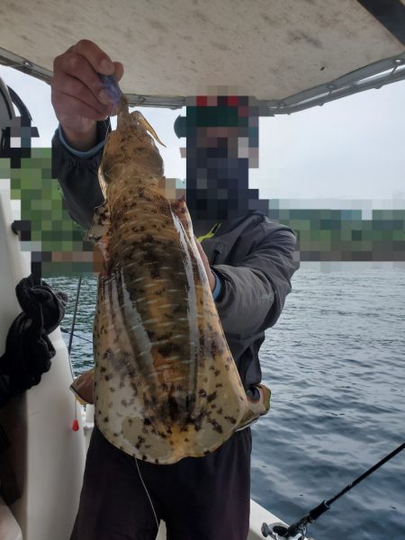 ソルトウォーターガイドフレンズ 釣果