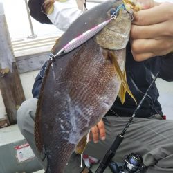 光生丸 釣果