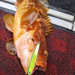 光生丸 釣果