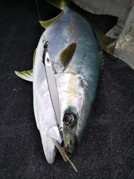光生丸 釣果
