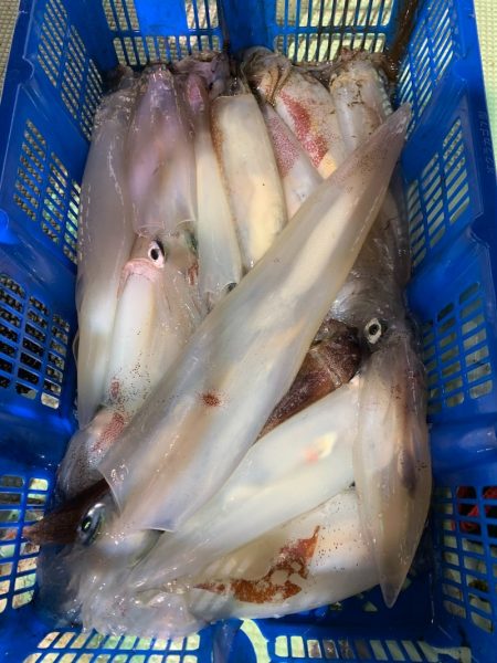 海龍丸（石川） 釣果