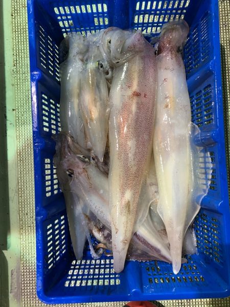 海龍丸（石川） 釣果