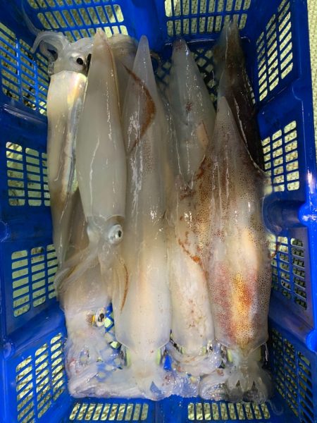 海龍丸（石川） 釣果