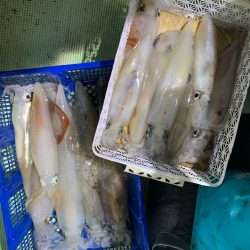 海龍丸（石川） 釣果