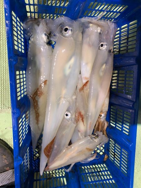 海龍丸（石川） 釣果