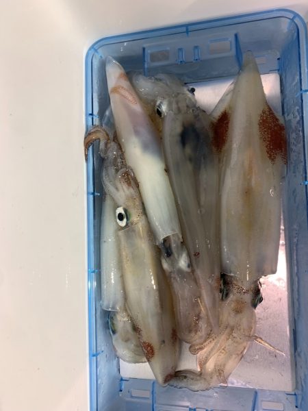 海龍丸（石川） 釣果