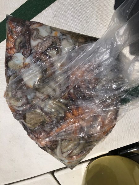 Ｖ−７ West 釣果