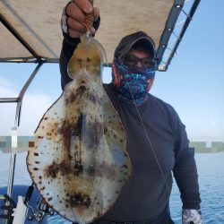 ソルトウォーターガイドフレンズ 釣果