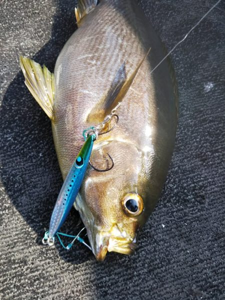 光生丸 釣果