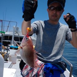 ありもと丸 釣果