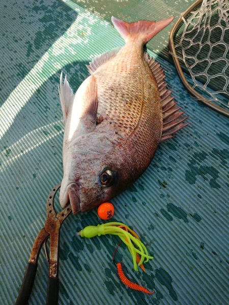 鷹王丸 釣果