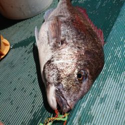 鷹王丸 釣果