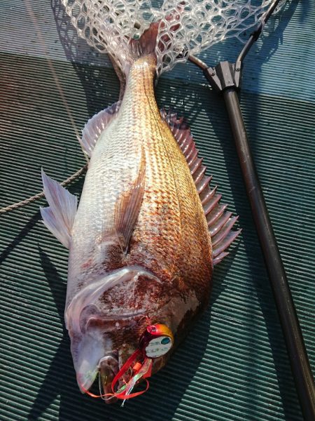 鷹王丸 釣果