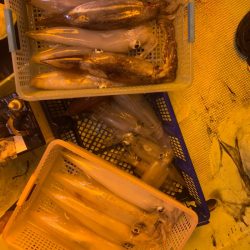 海龍丸（石川） 釣果