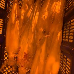 海龍丸（石川） 釣果