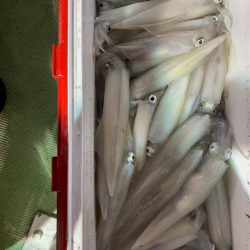 海龍丸（石川） 釣果