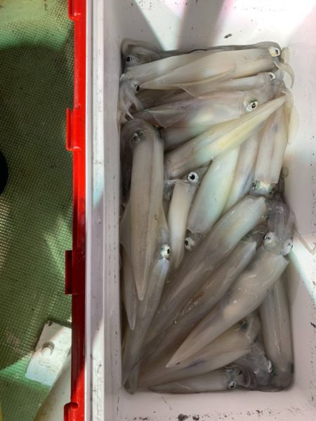 海龍丸（石川） 釣果